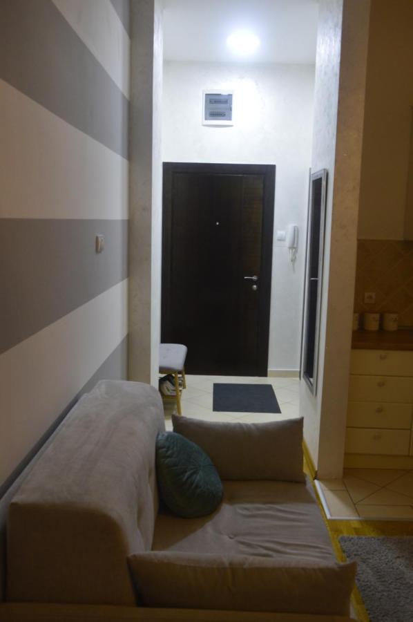 Teodora Lux Apartman Free Privat Parking Apartment Novi Sad Bagian luar foto