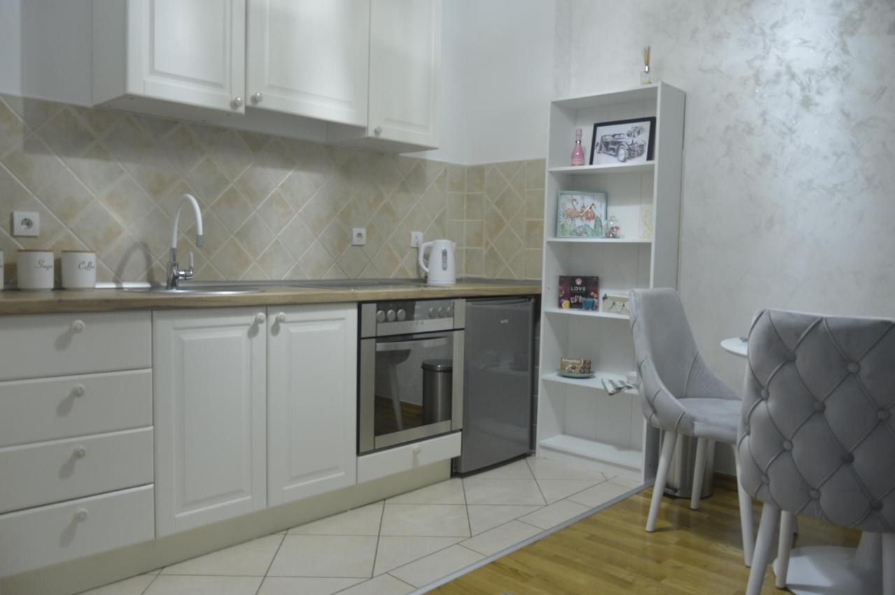 Teodora Lux Apartman Free Privat Parking Apartment Novi Sad Bagian luar foto