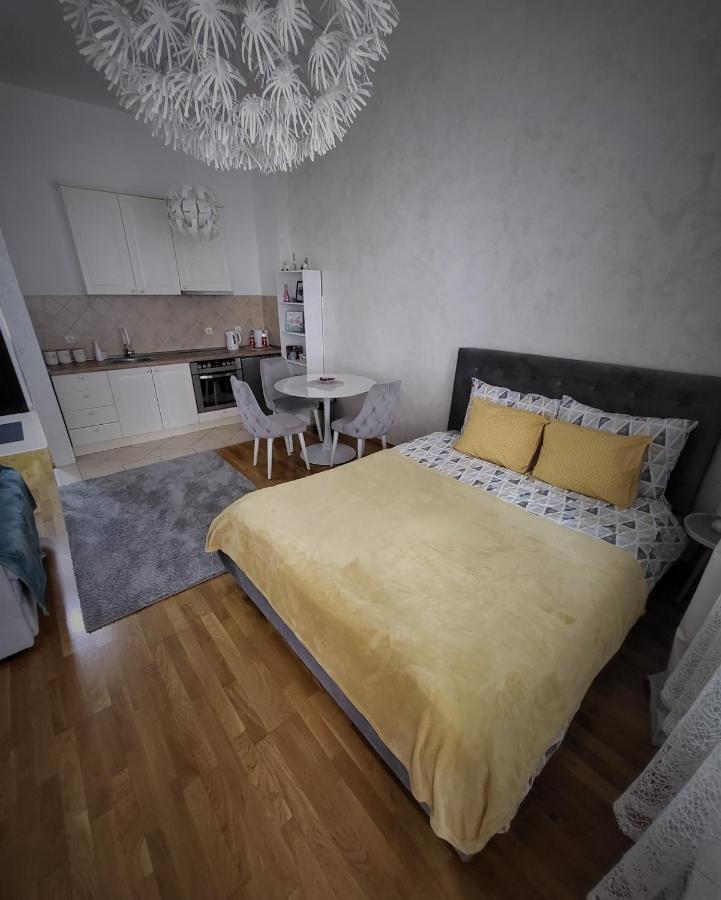 Teodora Lux Apartman Free Privat Parking Apartment Novi Sad Bagian luar foto